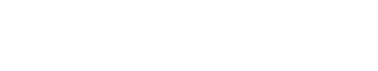 Mobility Plus - Mobilität auf höchstem Niveau